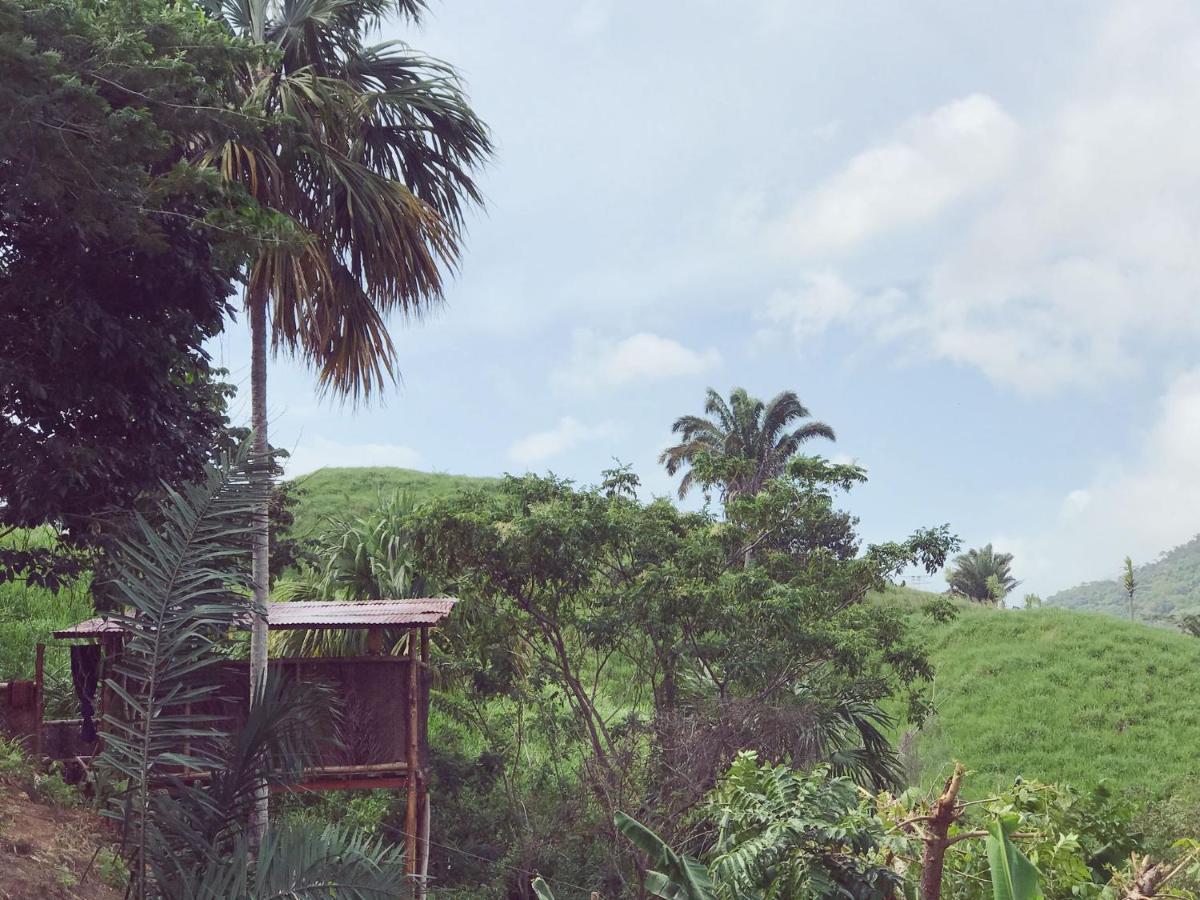The Valley Tayrona Hostel- A Social Jungle Hostel El Zaino Bagian luar foto