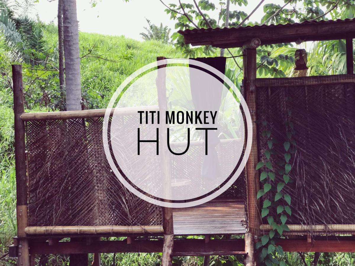 The Valley Tayrona Hostel- A Social Jungle Hostel El Zaino Bagian luar foto