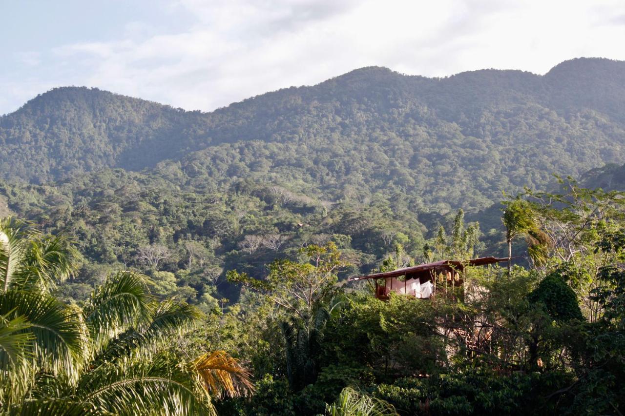 The Valley Tayrona Hostel- A Social Jungle Hostel El Zaino Bagian luar foto