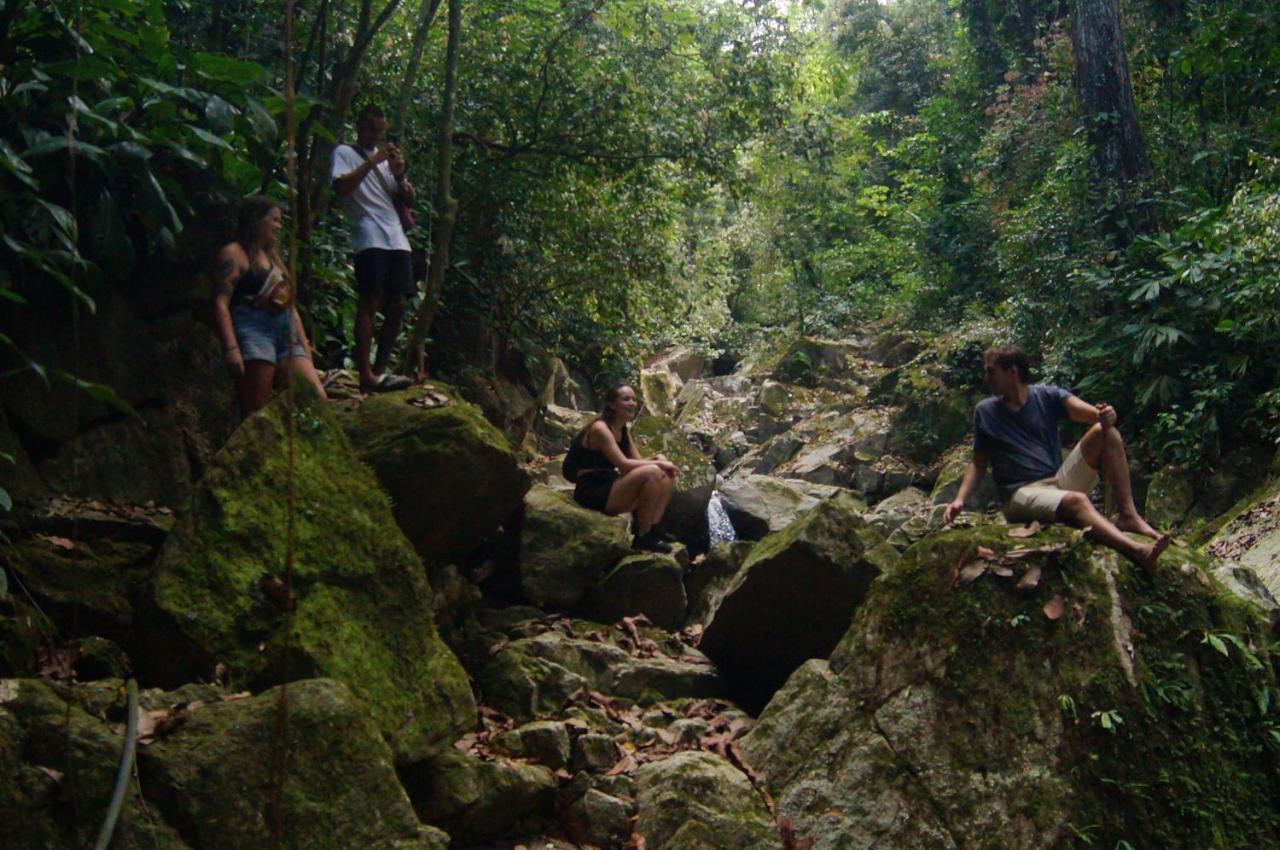 The Valley Tayrona Hostel- A Social Jungle Hostel El Zaino Bagian luar foto
