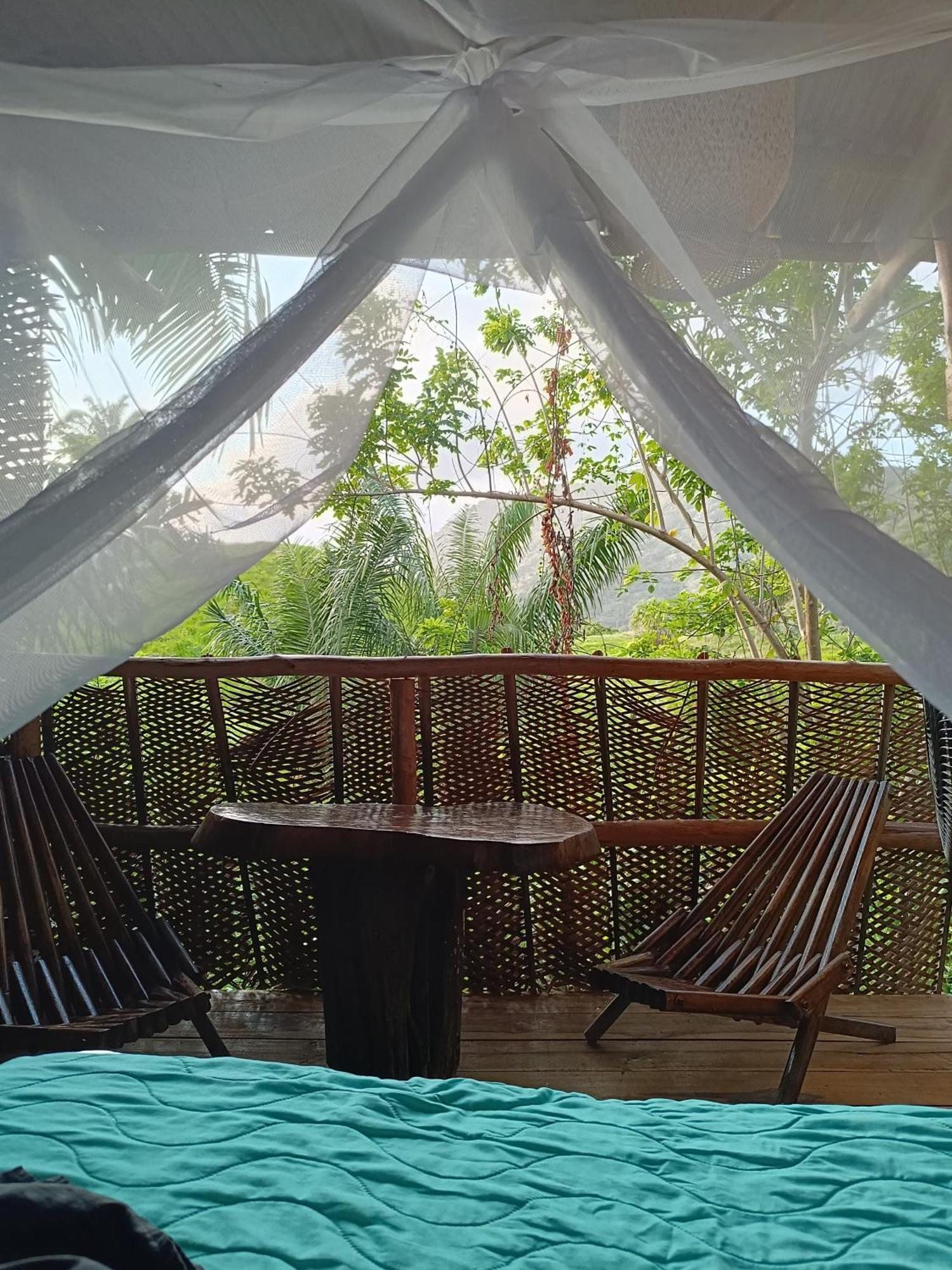 The Valley Tayrona Hostel- A Social Jungle Hostel El Zaino Bagian luar foto