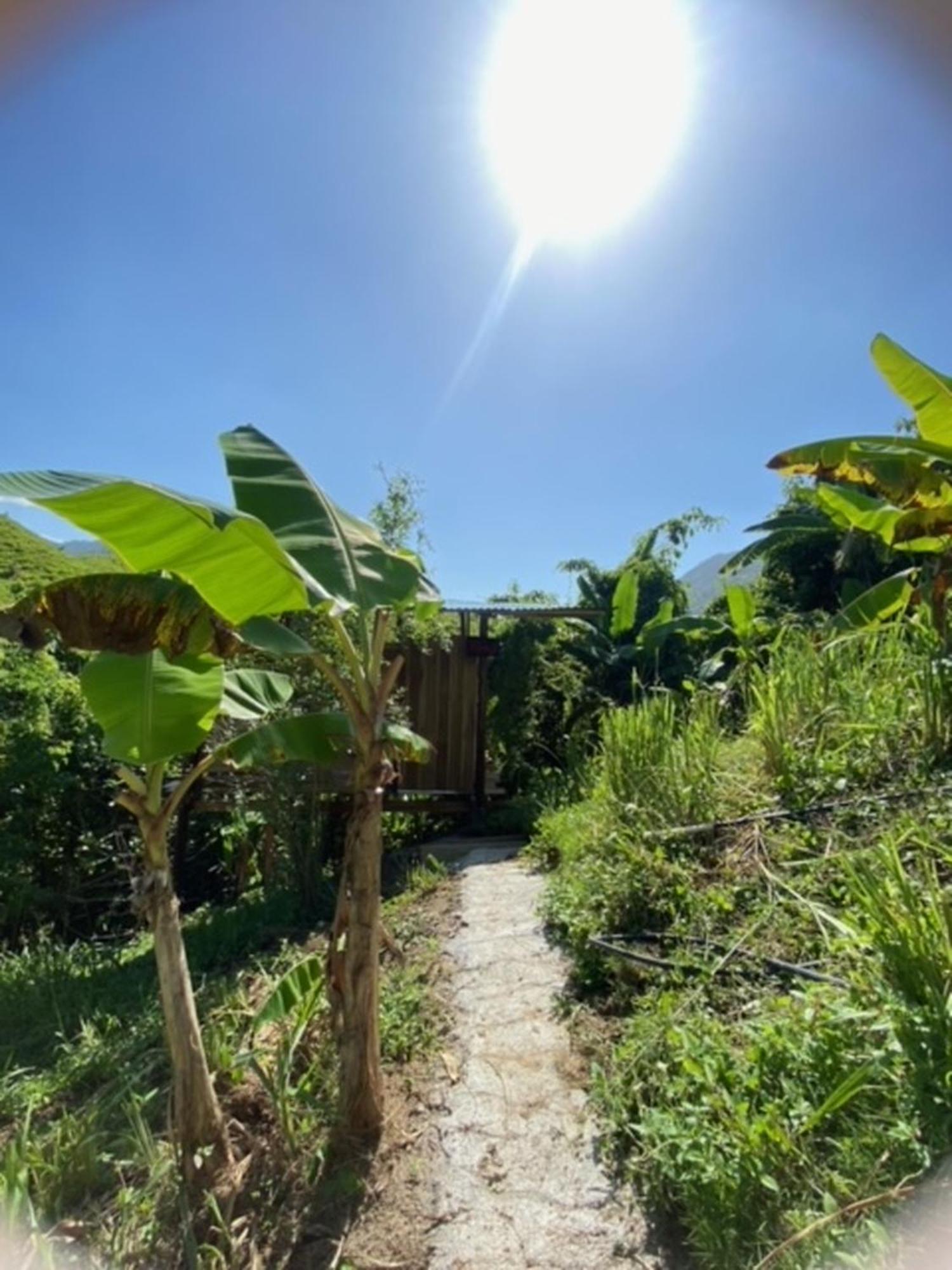 The Valley Tayrona Hostel- A Social Jungle Hostel El Zaino Bagian luar foto