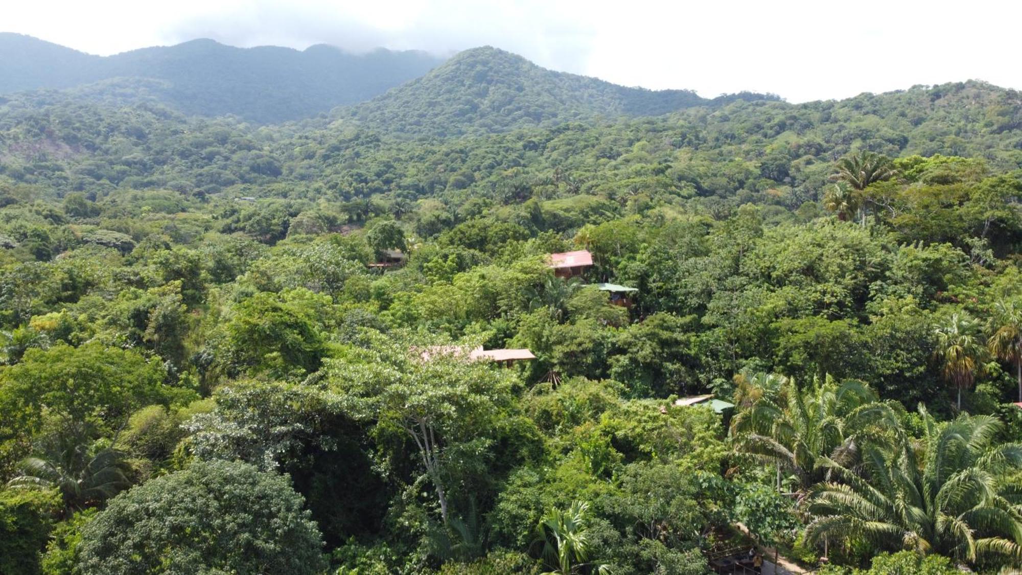 The Valley Tayrona Hostel- A Social Jungle Hostel El Zaino Bagian luar foto