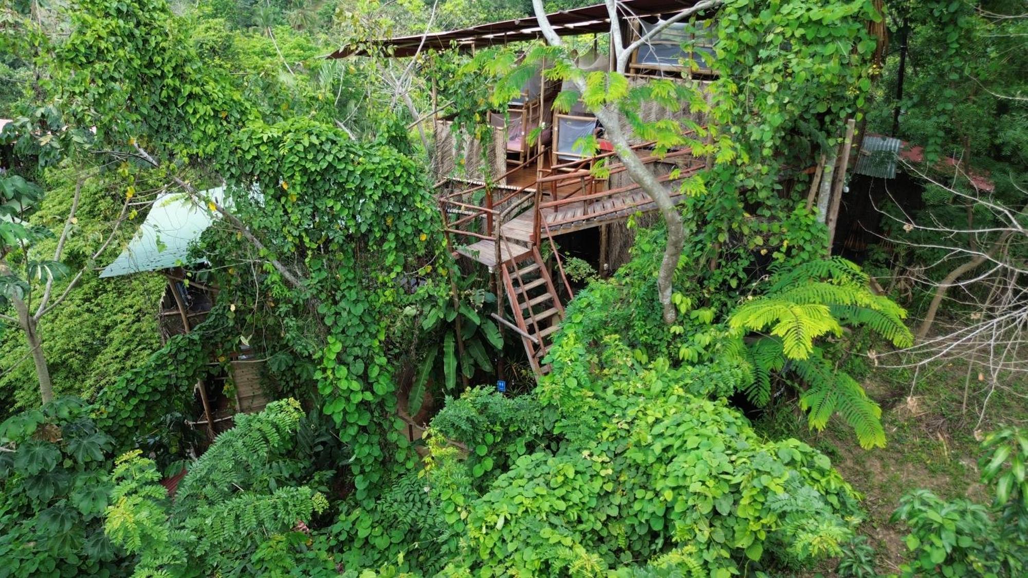 The Valley Tayrona Hostel- A Social Jungle Hostel El Zaino Bagian luar foto