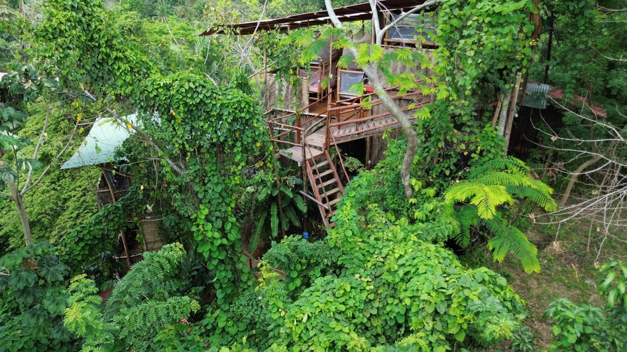 The Valley Tayrona Hostel- A Unique Social Jungle Hostel El Zaino Bagian luar foto