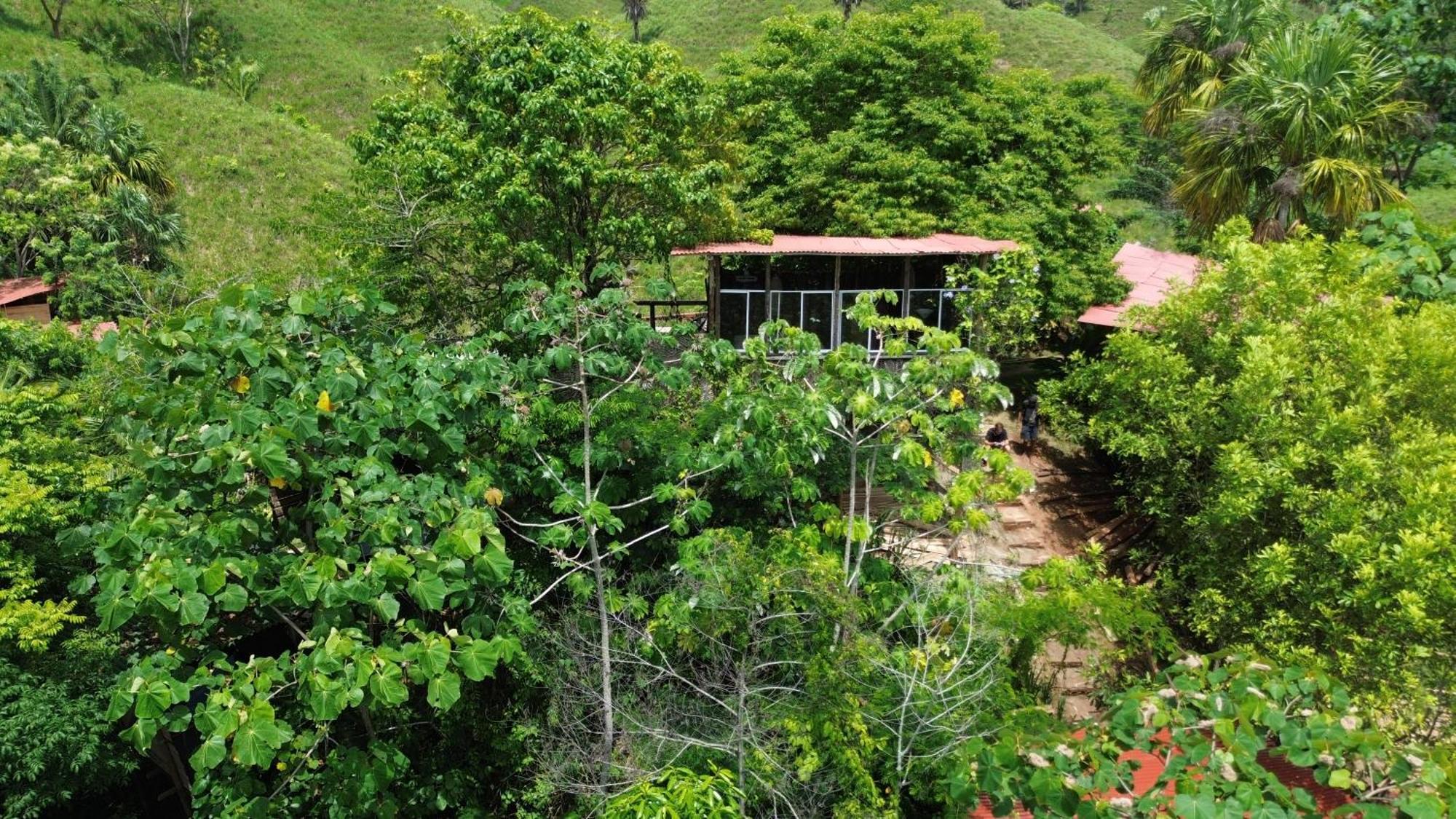 The Valley Tayrona Hostel- A Social Jungle Hostel El Zaino Bagian luar foto