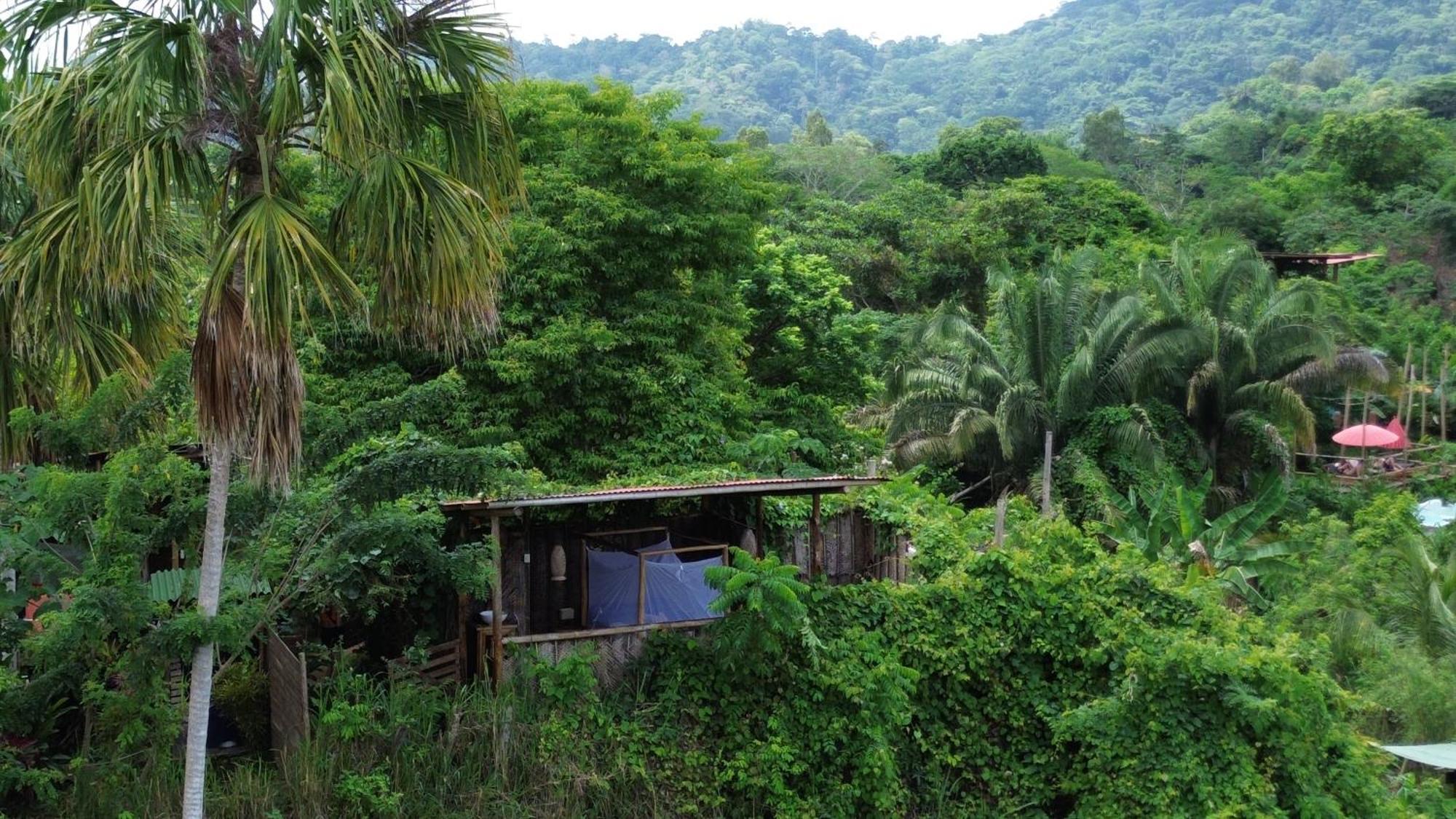 The Valley Tayrona Hostel- A Social Jungle Hostel El Zaino Bagian luar foto