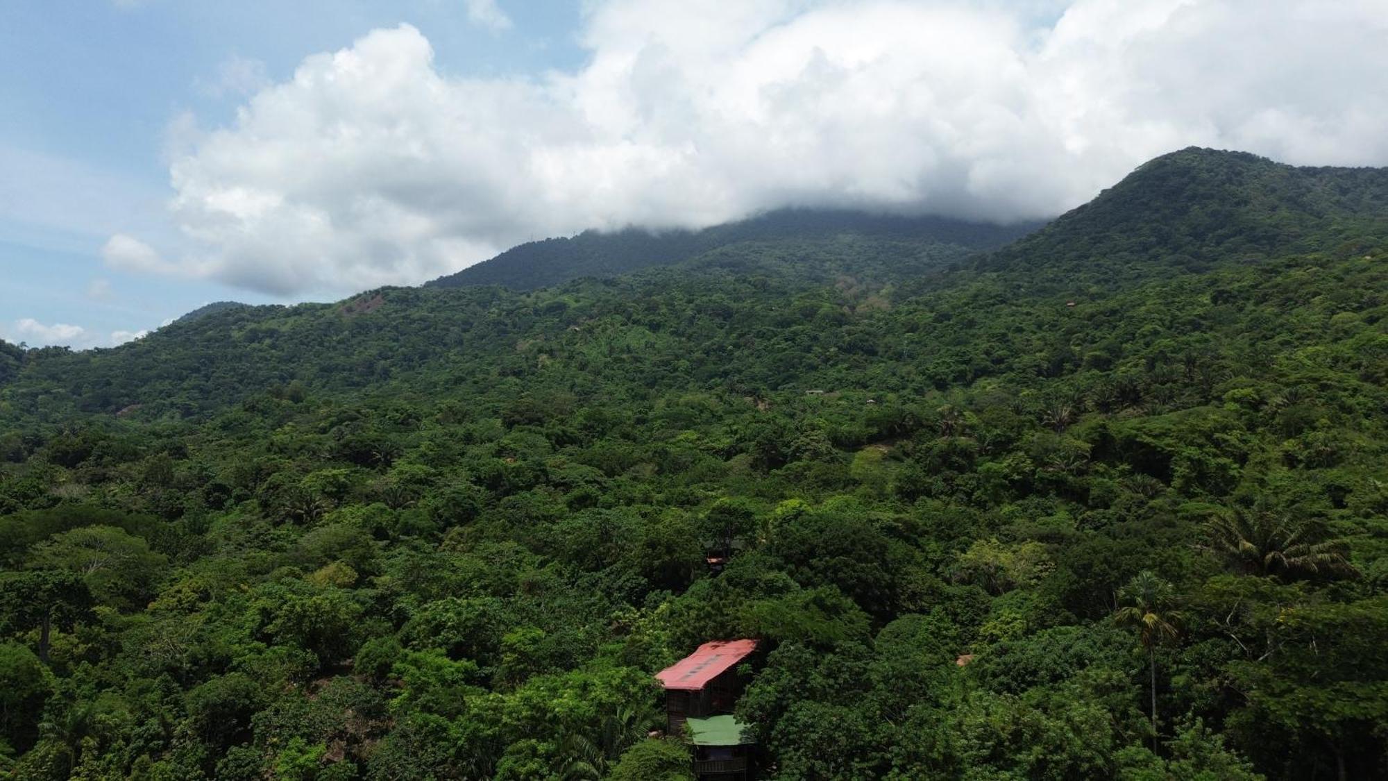 The Valley Tayrona Hostel- A Social Jungle Hostel El Zaino Bagian luar foto