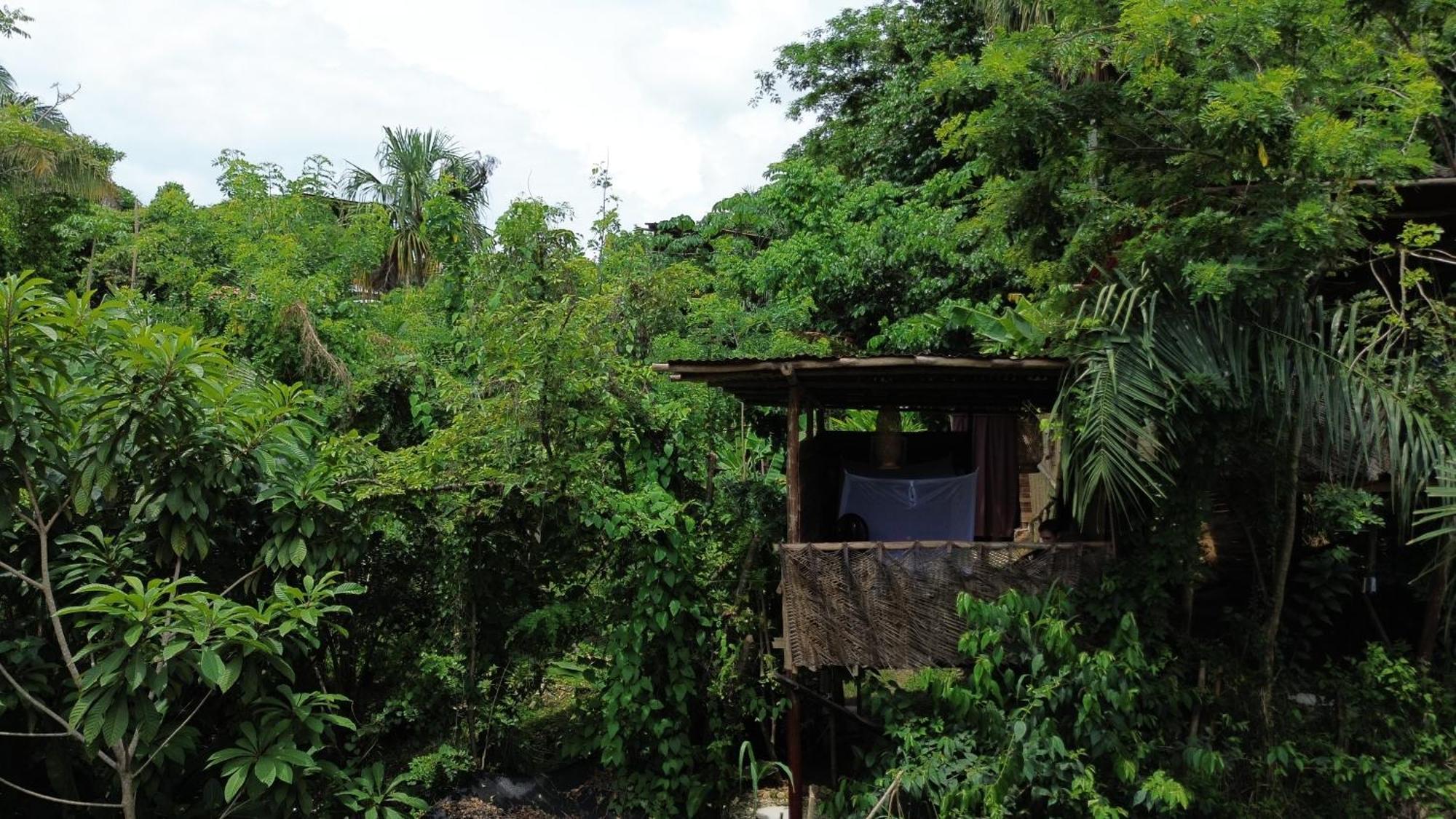 The Valley Tayrona Hostel- A Social Jungle Hostel El Zaino Bagian luar foto