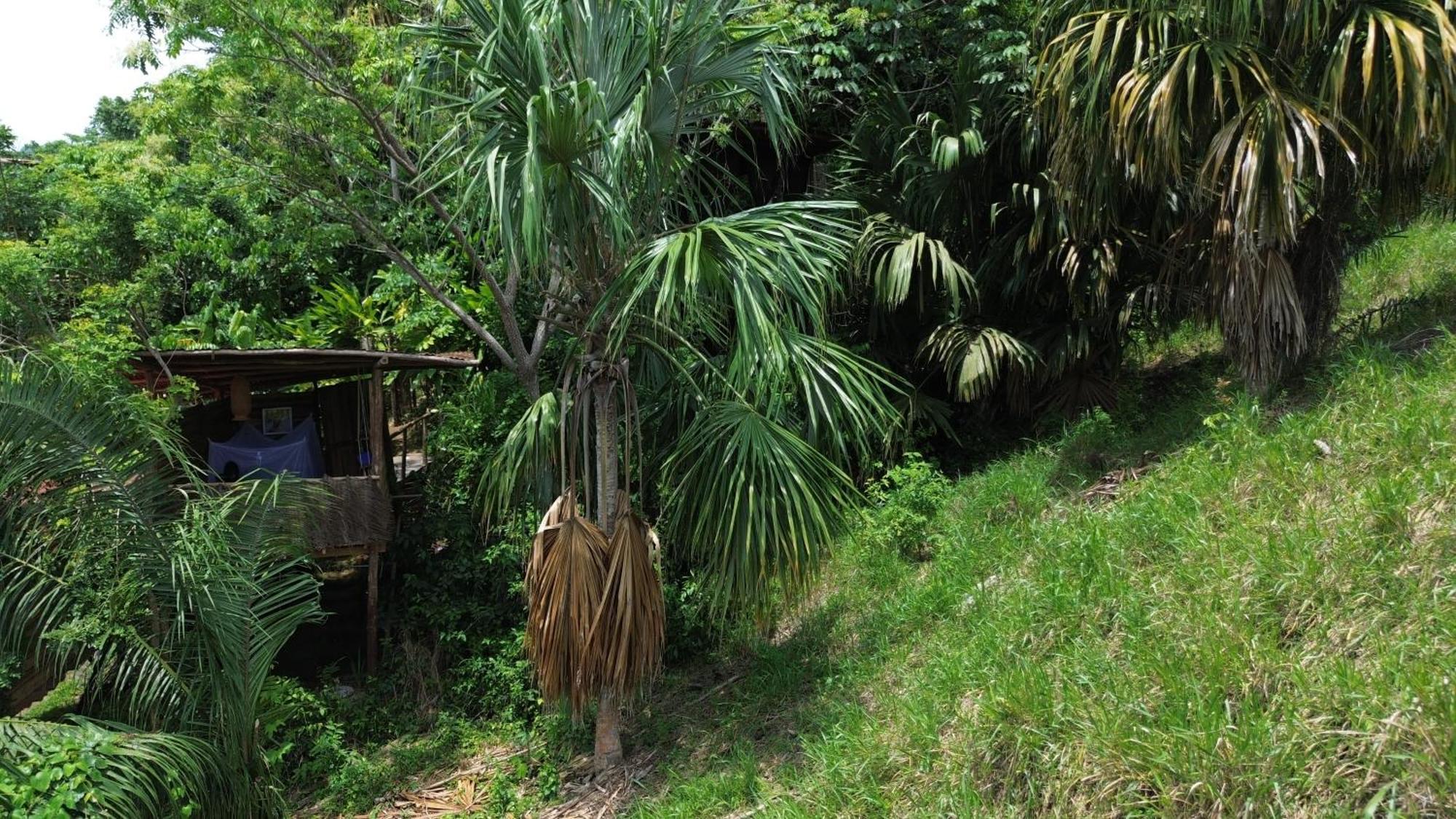 The Valley Tayrona Hostel- A Social Jungle Hostel El Zaino Bagian luar foto