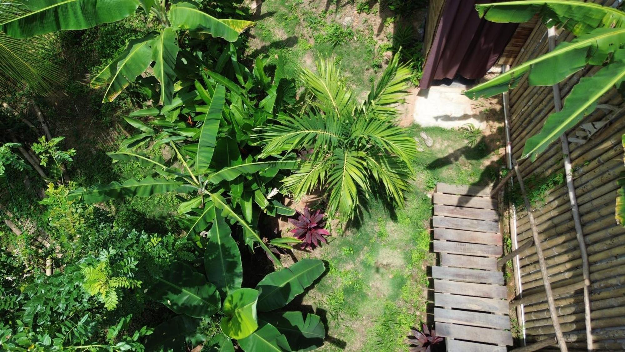 The Valley Tayrona Hostel- A Social Jungle Hostel El Zaino Bagian luar foto