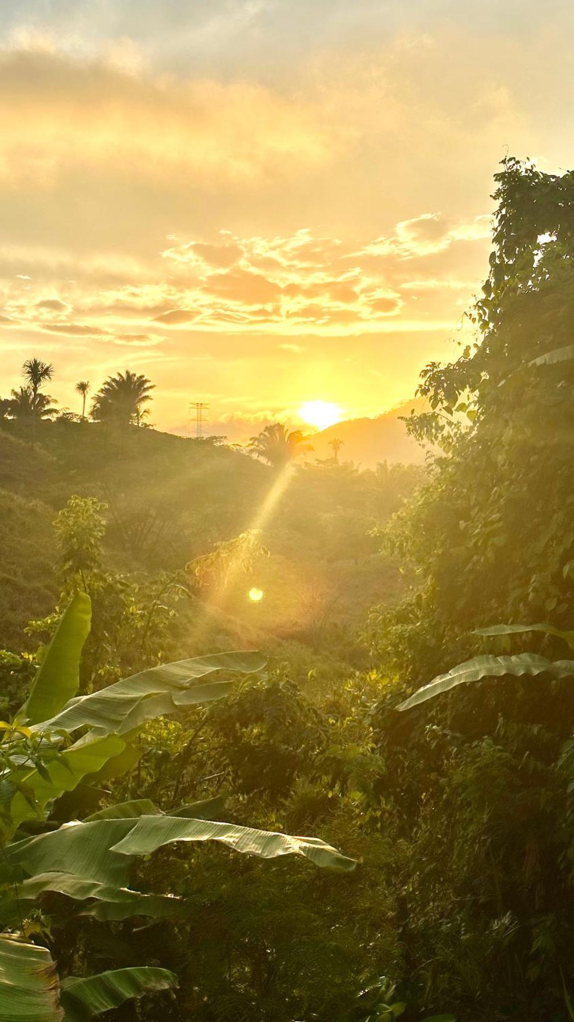 The Valley Tayrona Hostel- A Social Jungle Hostel El Zaino Bagian luar foto