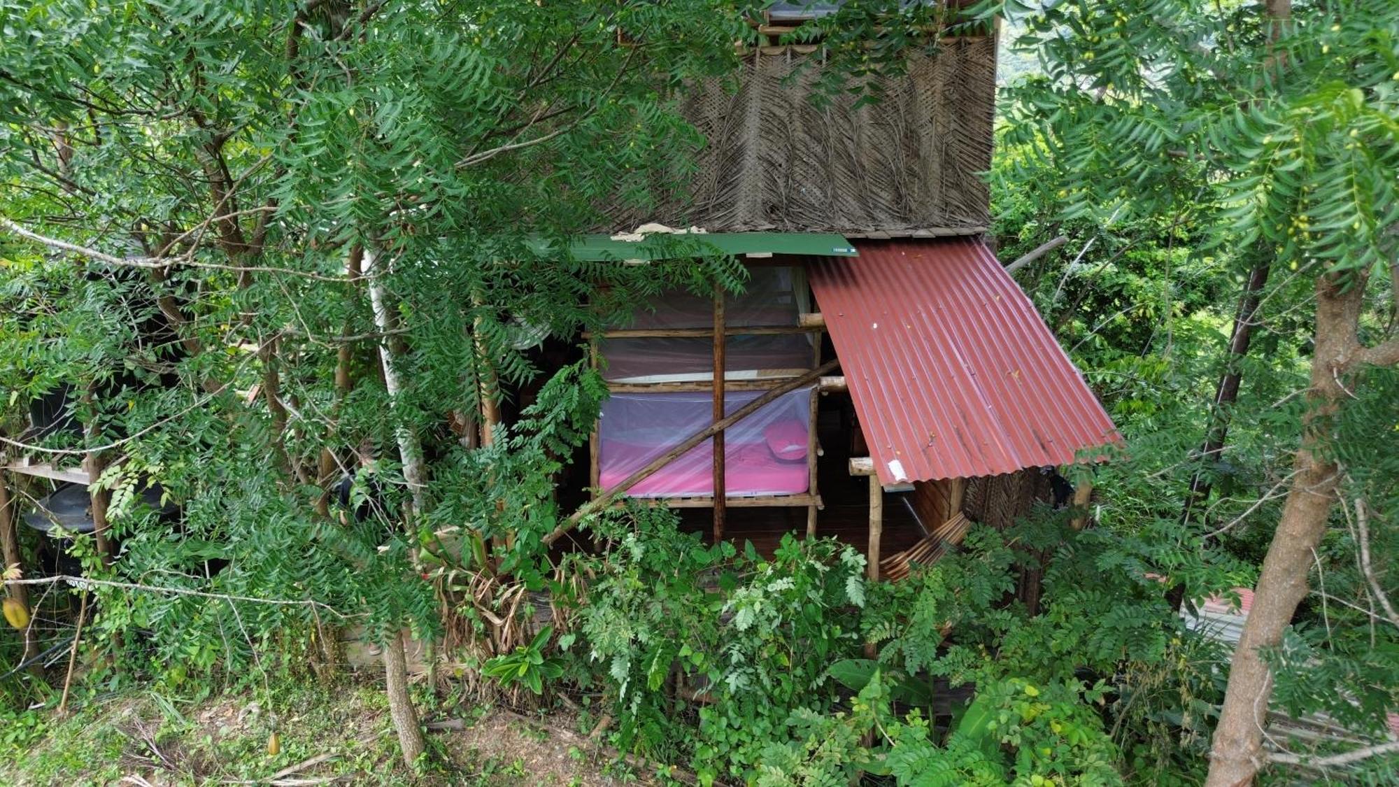 The Valley Tayrona Hostel- A Social Jungle Hostel El Zaino Bagian luar foto