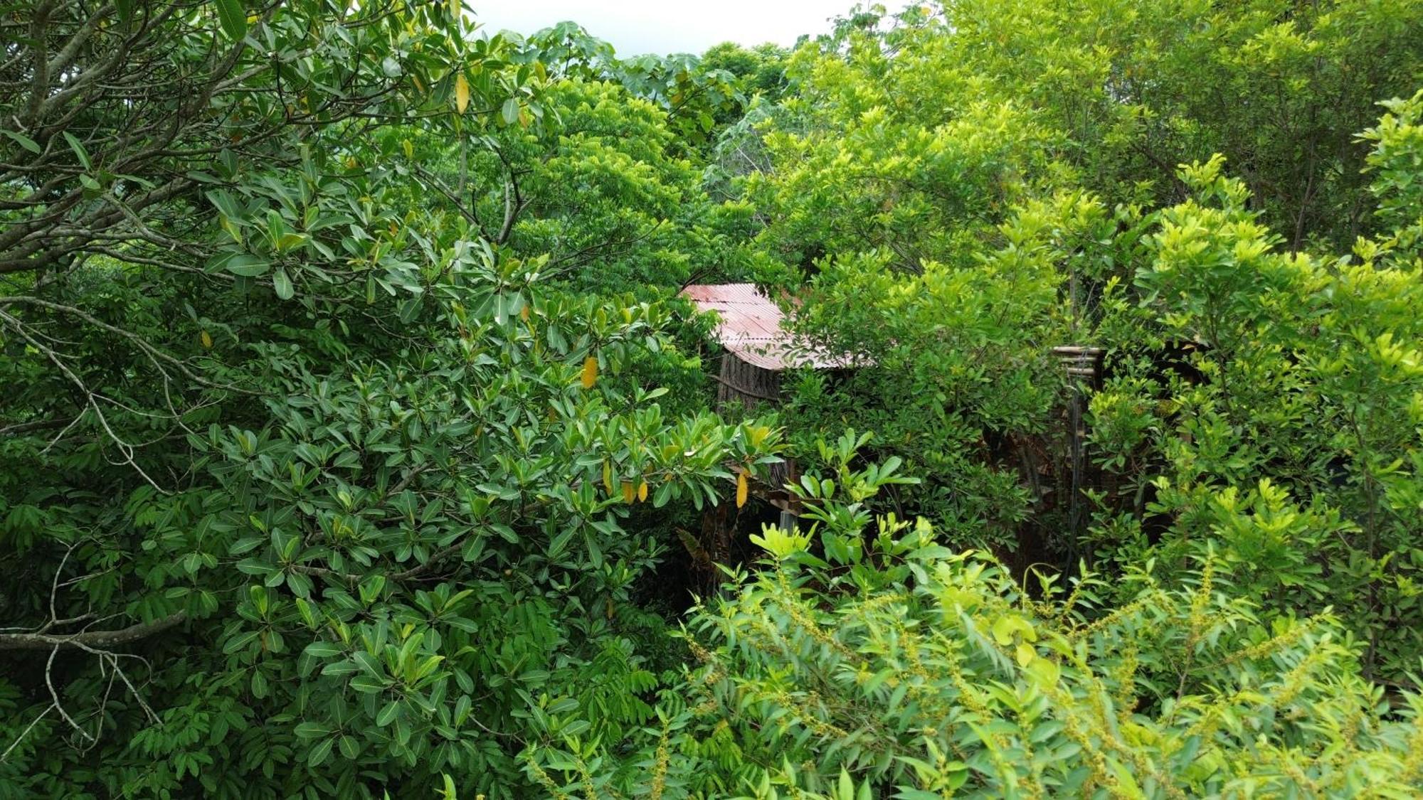 The Valley Tayrona Hostel- A Social Jungle Hostel El Zaino Bagian luar foto
